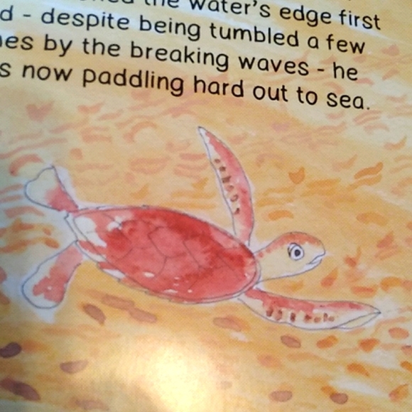 New Children's Softcover Book - Picture 6 of 6